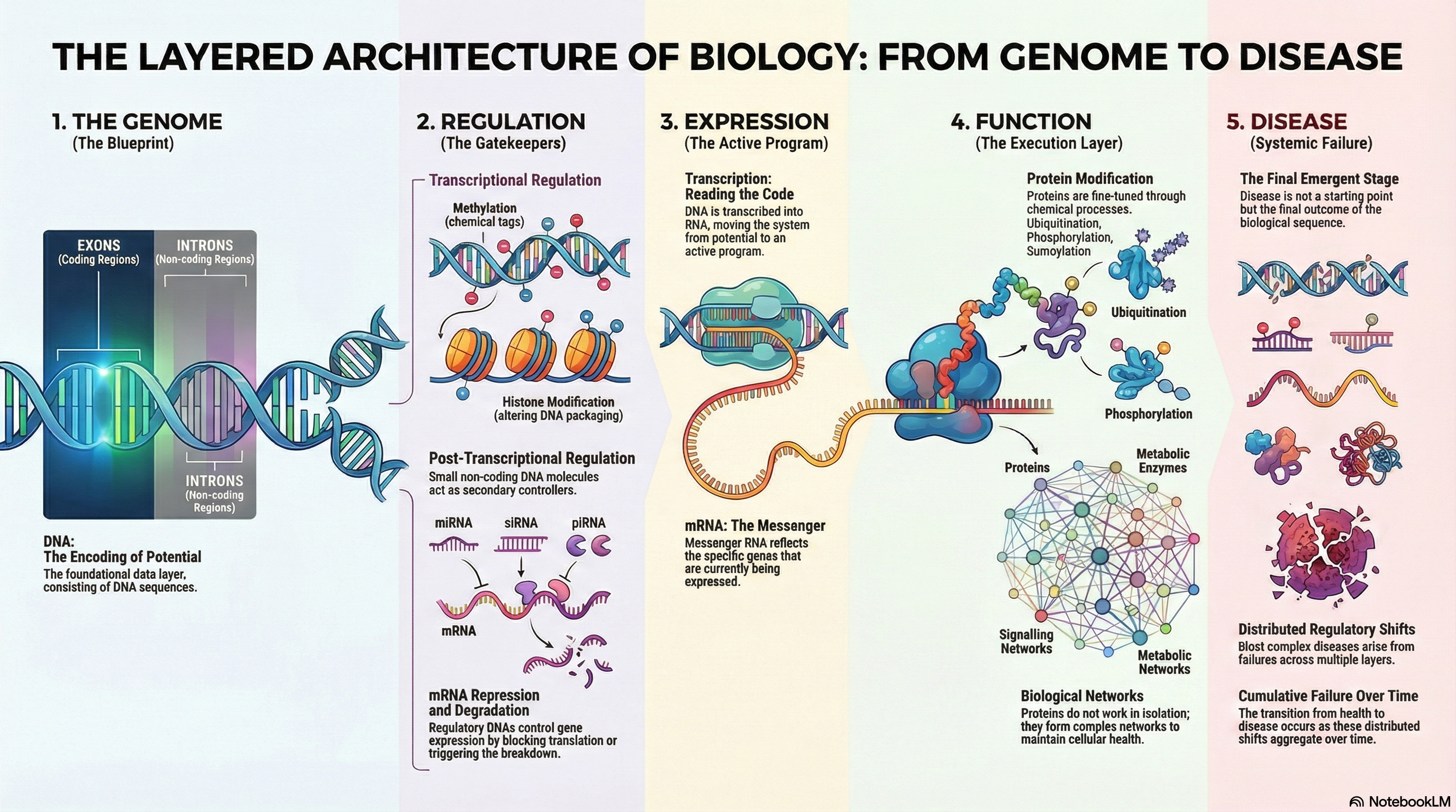 Biological System Overview