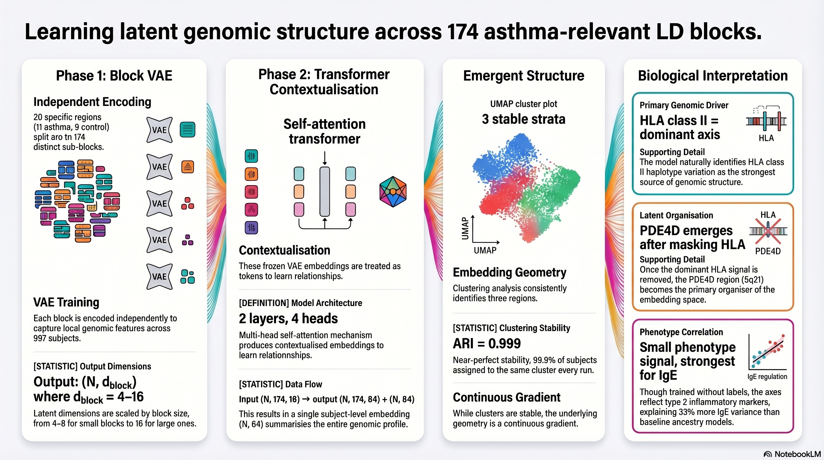 LD block-based genotype embedding framework showing block VAE encoding, transformer contextualization, emergent genomic structure, and biological interpretation in asthma
